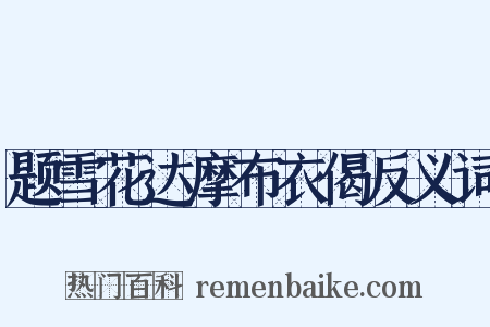 题雪花达摩布衣偈反义词是什么意思的图片